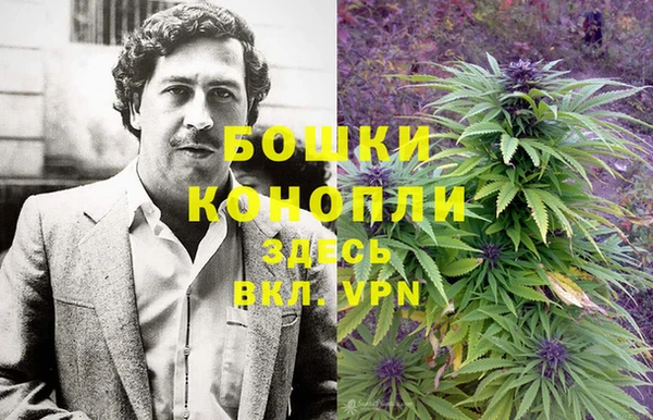 СК Арсеньев